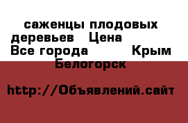 саженцы плодовых деревьев › Цена ­ 6 080 - Все города  »    . Крым,Белогорск